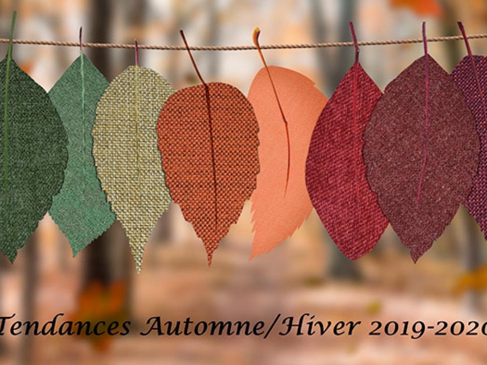 Feuilles d'automne de différents couleurs.