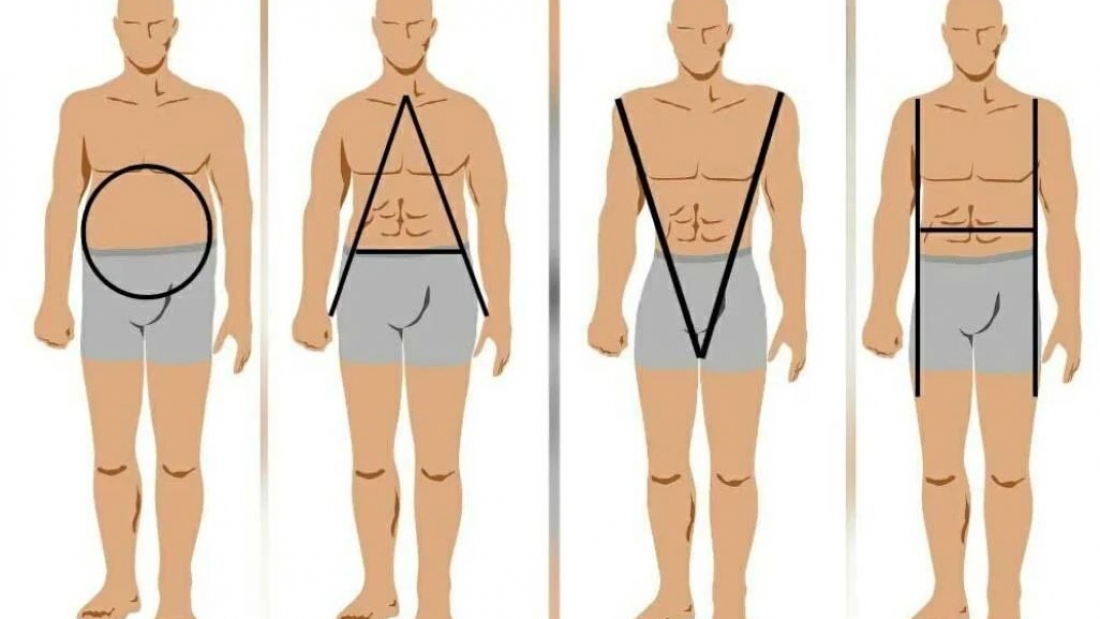 DIFFÉRENTES MORPHOLOGIES HOMMES