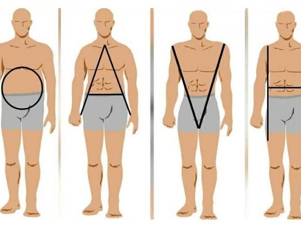 DIFFÉRENTES MORPHOLOGIES HOMMES